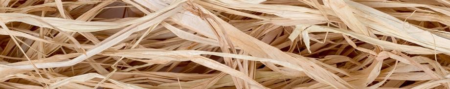 Box Filler Box Filler