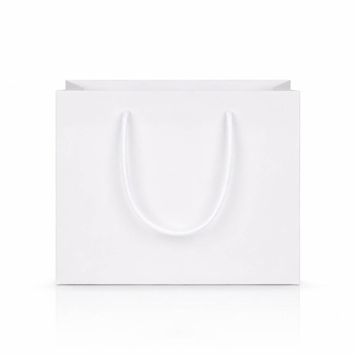 Medium White Landscape Paper Gift Bag With Rope Handles