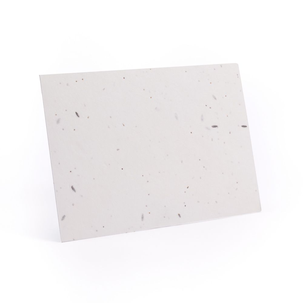 Plantable Seed Paper C6 White Envelope