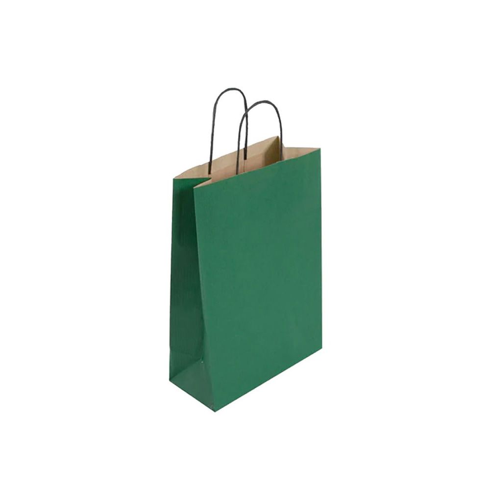 Pack of 25 Medium Green Paper Gift Bags With Paper Twisted Handles