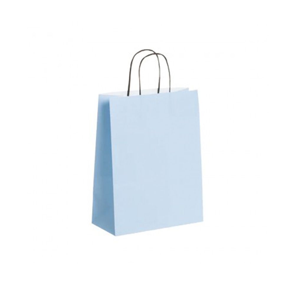 Pack of 25 Medium Light Blue Paper Gift Bags With Paper Twisted Handles