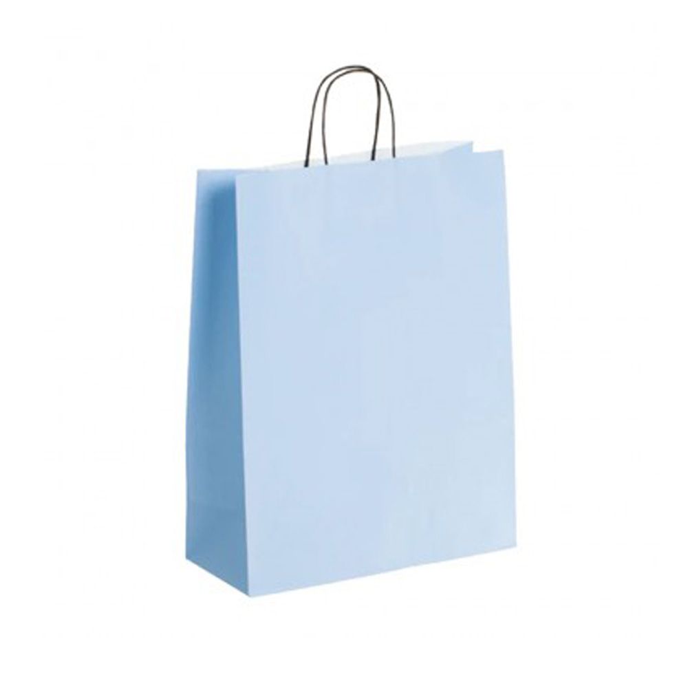  Pack of 25 Large Light Blue Paper Gift Bags with Paper Twisted Handles