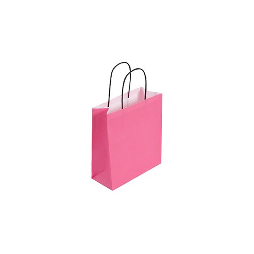 Pack of 25 Small Magenta Paper Gift Bags With Paper Twisted Handles