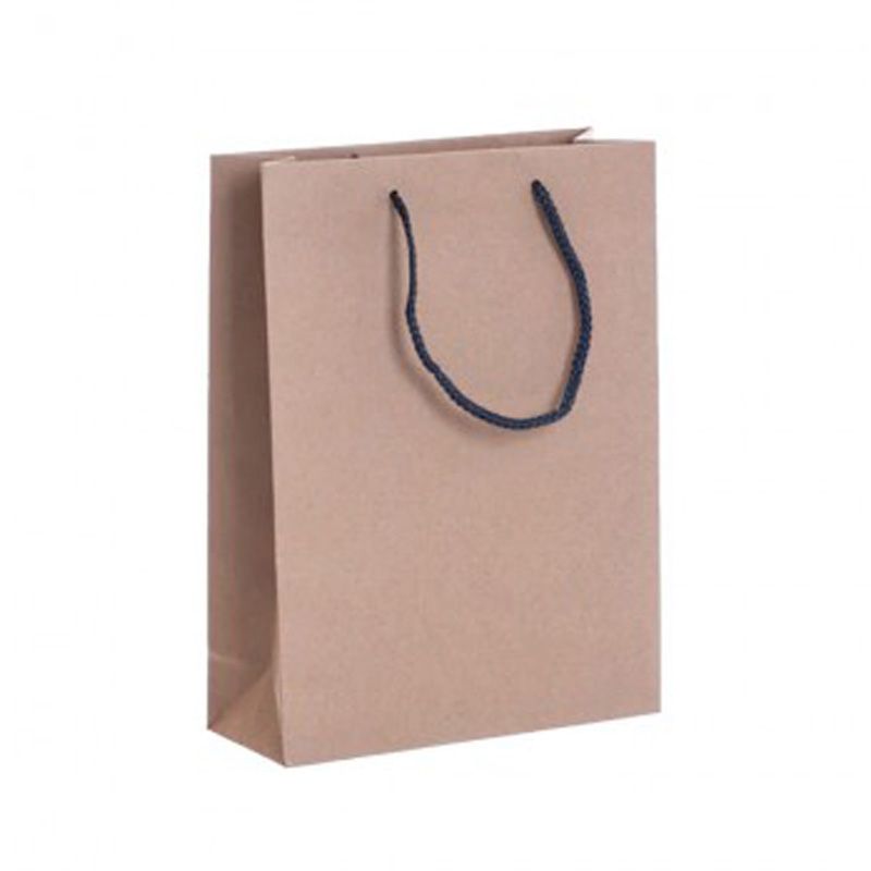 Pack of 25 Portrait Kraft Brown Paper Gift Bags With Grey Rope Handles