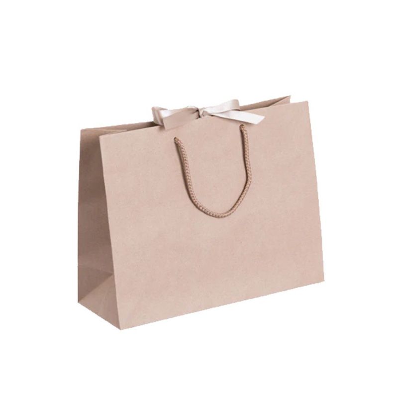 Pack of 25 Medium Landscape Kraft Brown Paper Gift Bags With Rope Handles and Ribbon