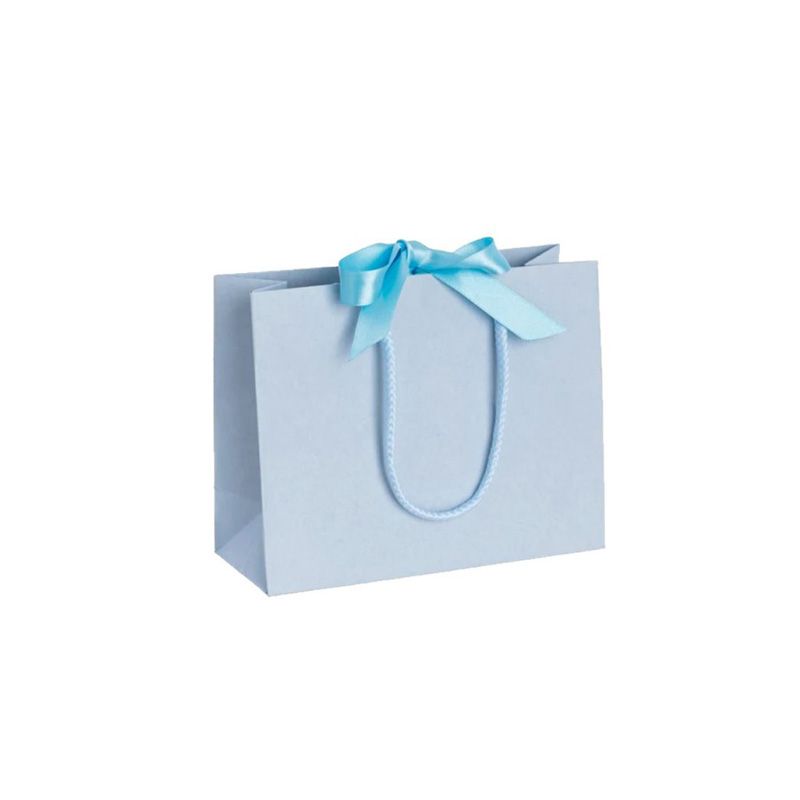 Pack of 25 Small Landscape Light Blue Paper Gift Bags With Rope Handles and Ribbon