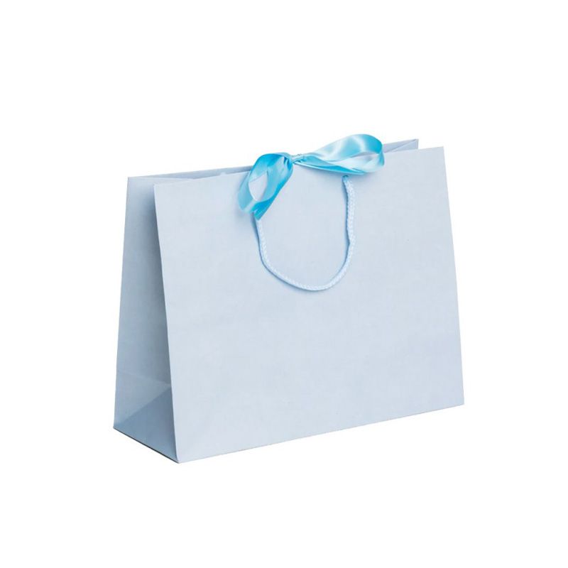 Pack of 25 Medium Landscape Light Blue Paper Gift Bags With Rope Handles and Ribbon
