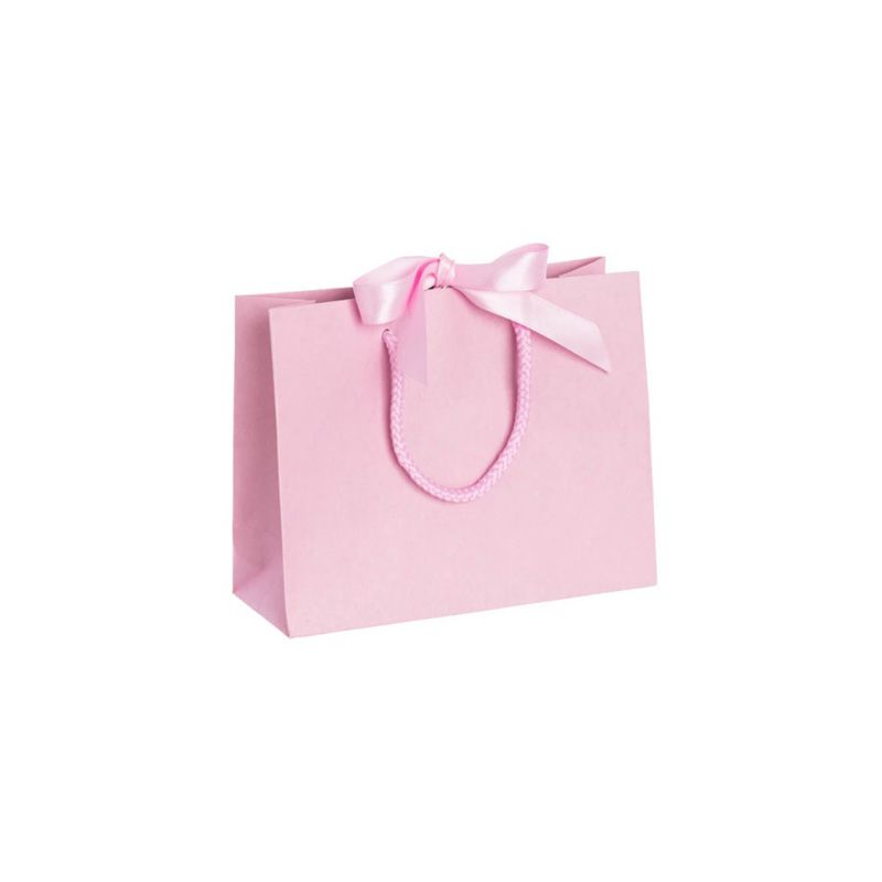 Pack of 25 Small Landscape Pink Paper Gift Bags With Rope Handles and Ribbon