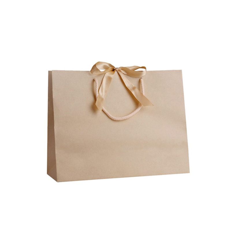 Pack of 25 Medium Landscape Cream Paper Gift Bags With Rope Handles and Ribbon