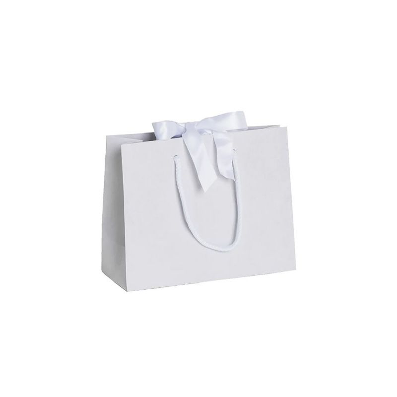 Pack of 25 Small Landscape Antique White Paper Gift Bags With Rope Handles and Ribbon