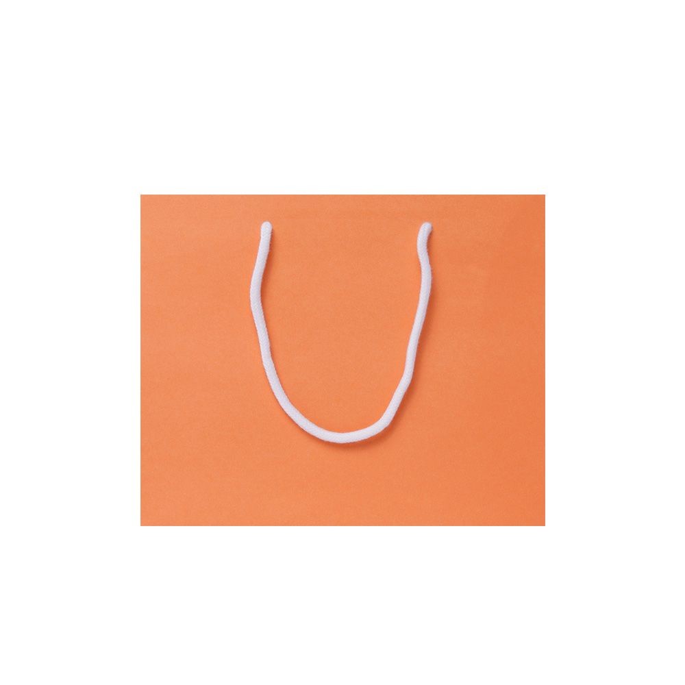 Medium Landscape Apricot Crush Orange Paper Gift Bag With Rope Handles