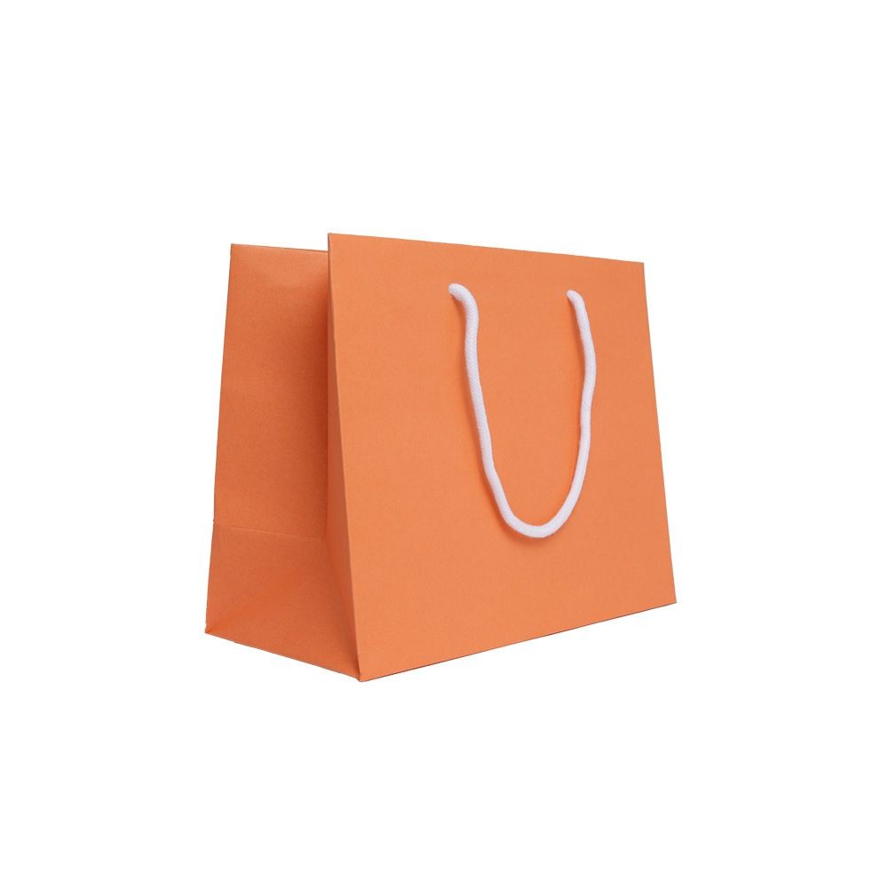 Medium Landscape Apricot Crush Orange Paper Gift Bag With Rope Handles