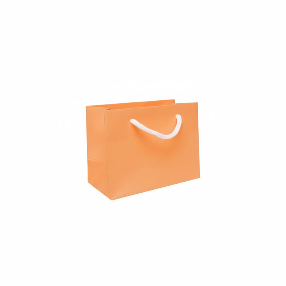 Orange Small Landscape Paper Gift Bag