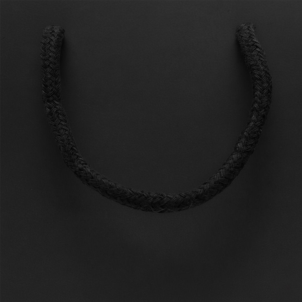 Medium Landscape Black Paper Gift Bag With Rope Handles