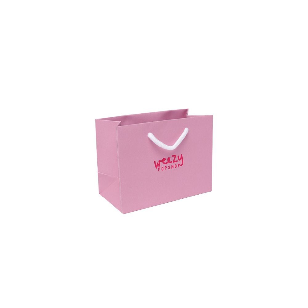 Small Landscape Fondant Pink Paper Gift Bag with Rope Handles