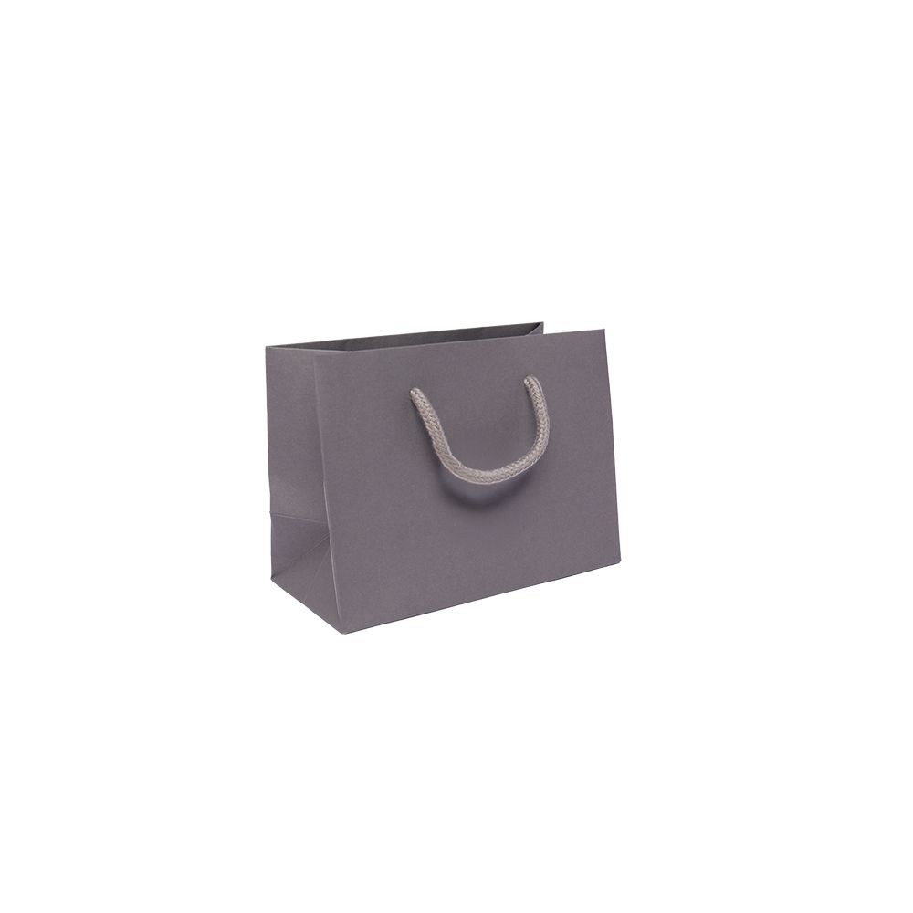 Small Landscape Grey Paper Gift Bag With Rope Handles
