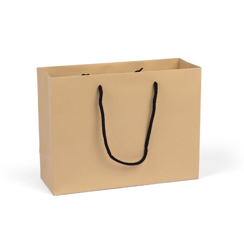 Large landscape kraft paper gift bag with rope handles
