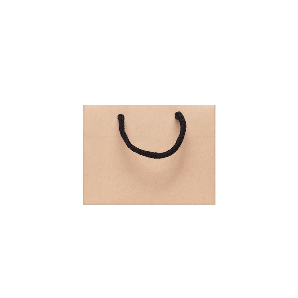 Small Landscape Kraft Brown Paper Gift Bag With Rope Handles