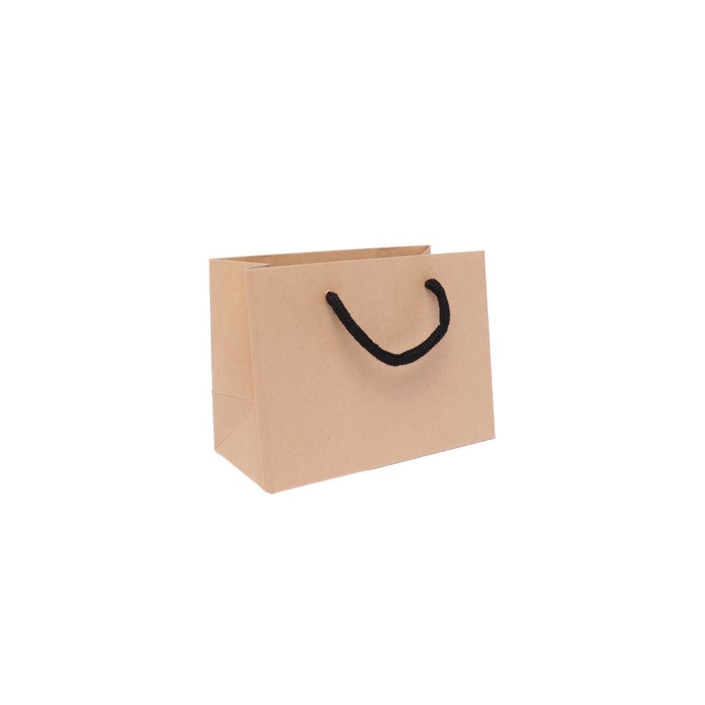 Small landscape kraft paper gift bag with rope handles