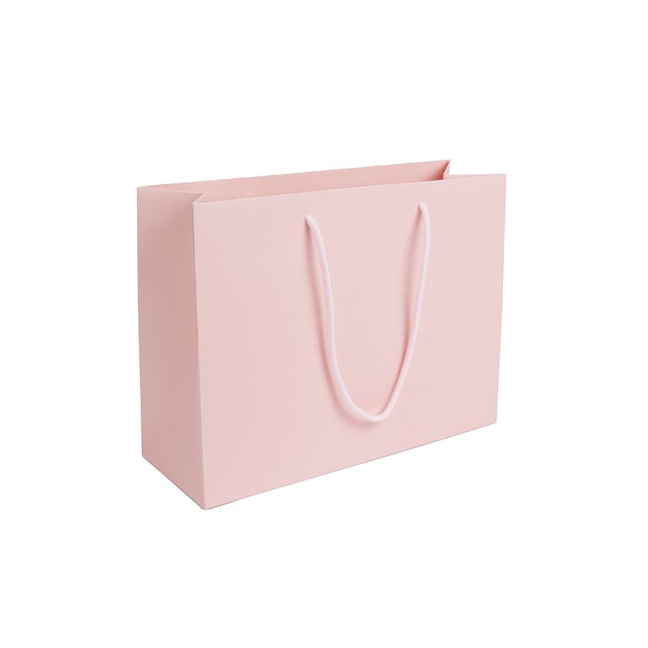 Large Landscape Pink Paper Gift Bag With Rope Handles