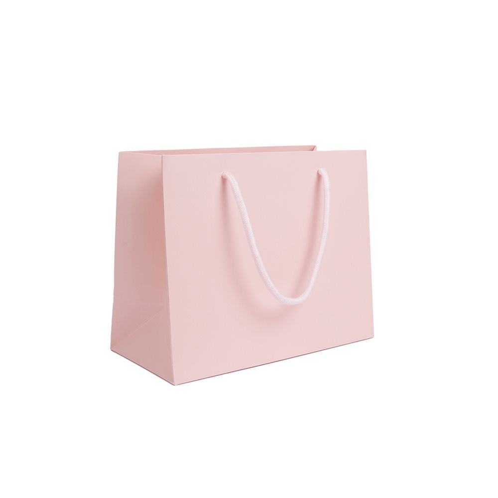 Medium Pink Landscape Paper Gift Bag With Rope Handles