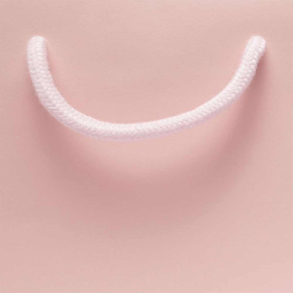 Large Landscape Rose Quartz Pink Paper Gift Bag With Rope Handles