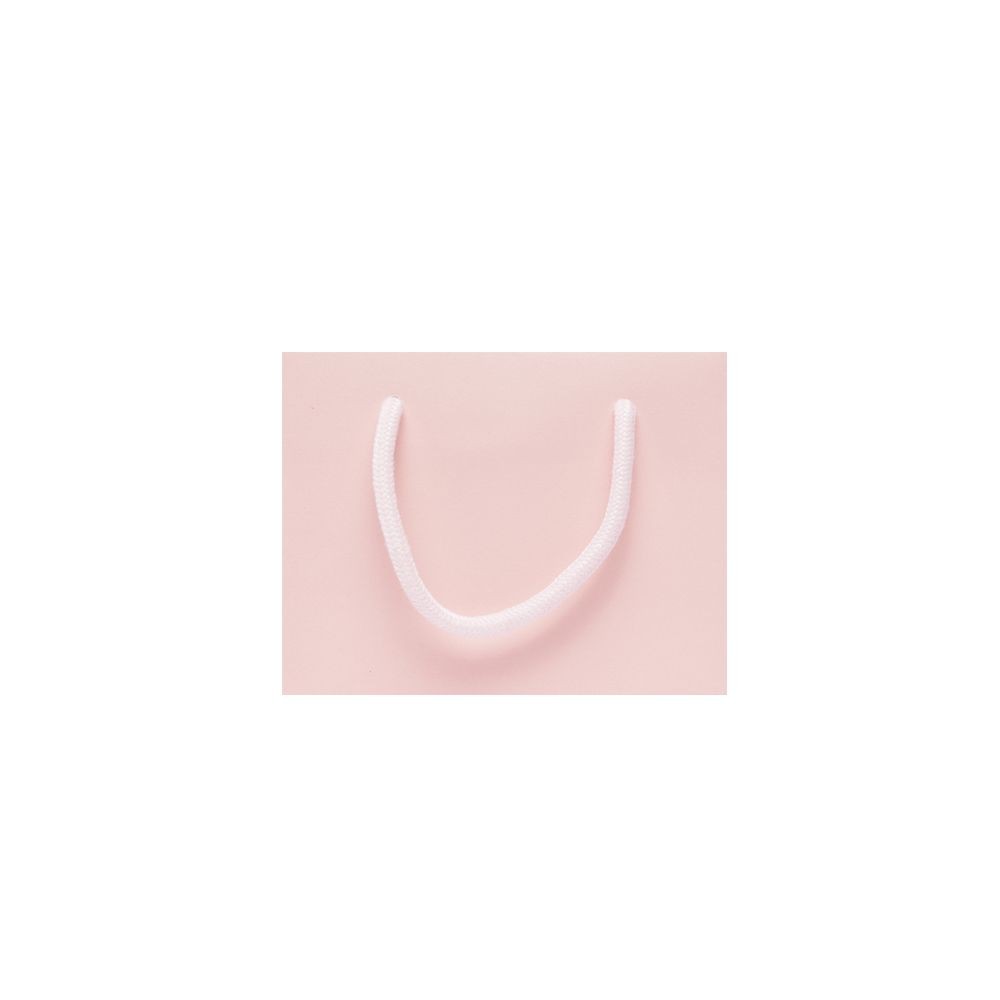 Small Landscape Rose Quartz Pink Paper Gift Bag With Rope Handles