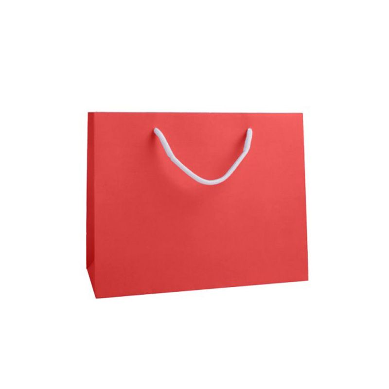 Medium Landscape Radiant Red Paper Gift Bag with Rope Handles