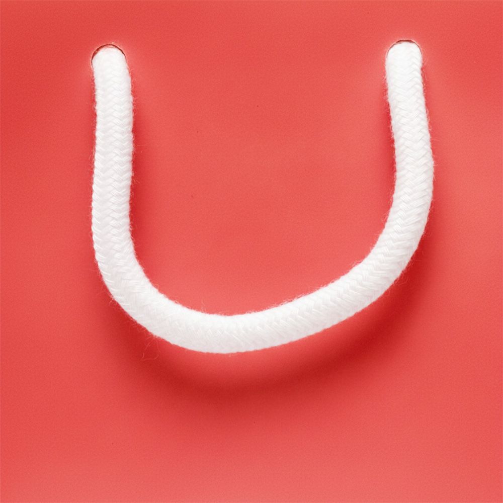 Small Landscape Radiant Red Paper Gift Bag with Rope Handles