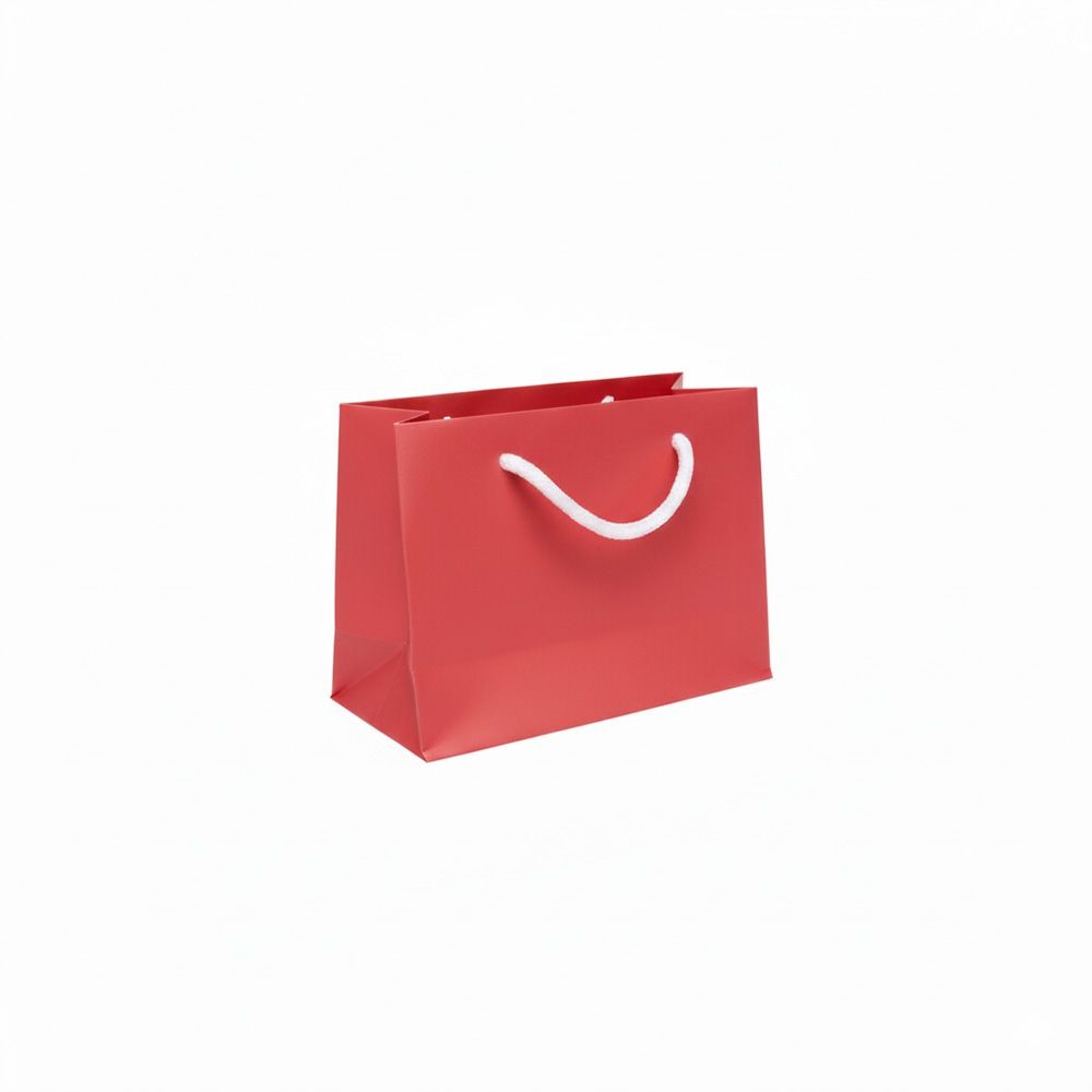Small Landscape Radiant Red Paper Gift Bag with Rope Handles