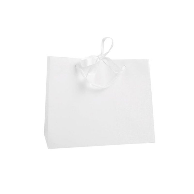 Medium Landscape White Paper Gift Bag With Rope Handles and Ribbon