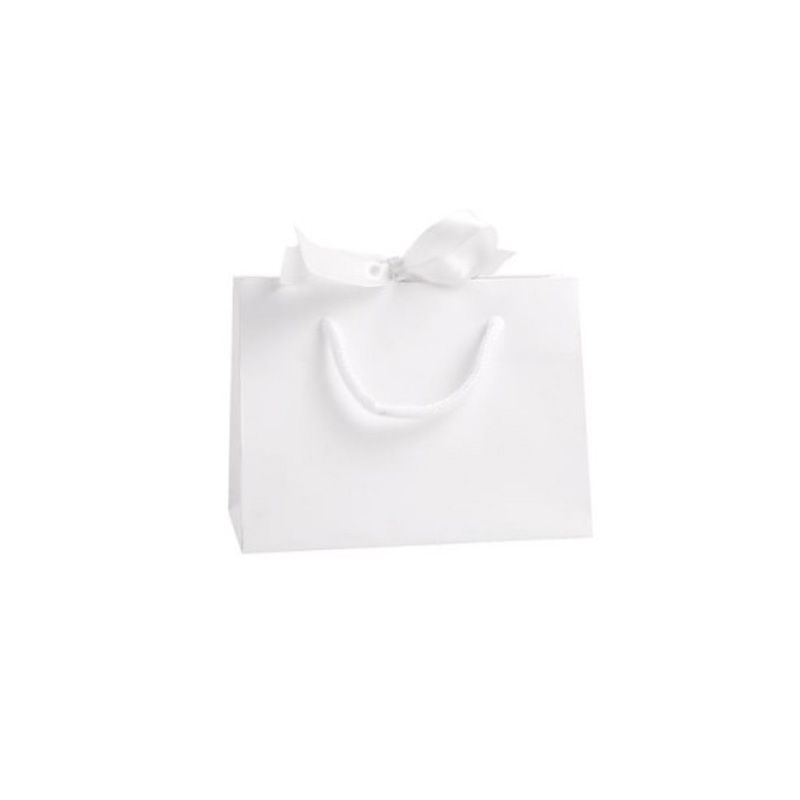 Small Landscape White Paper Gift Bag With Rope Handles and Ribbon