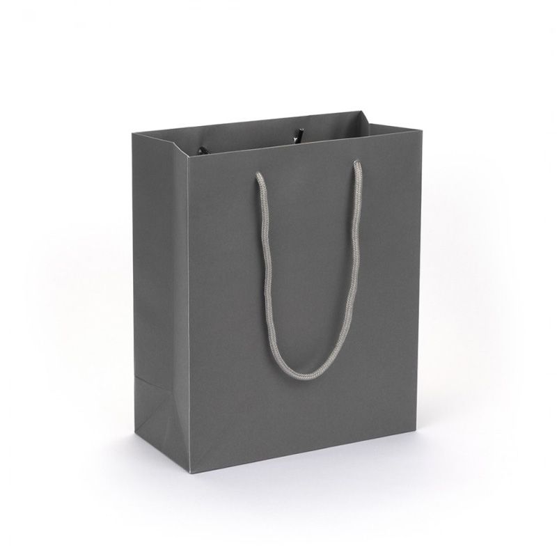 Large Portrait Grey Paper Gift Bag With Rope Handles