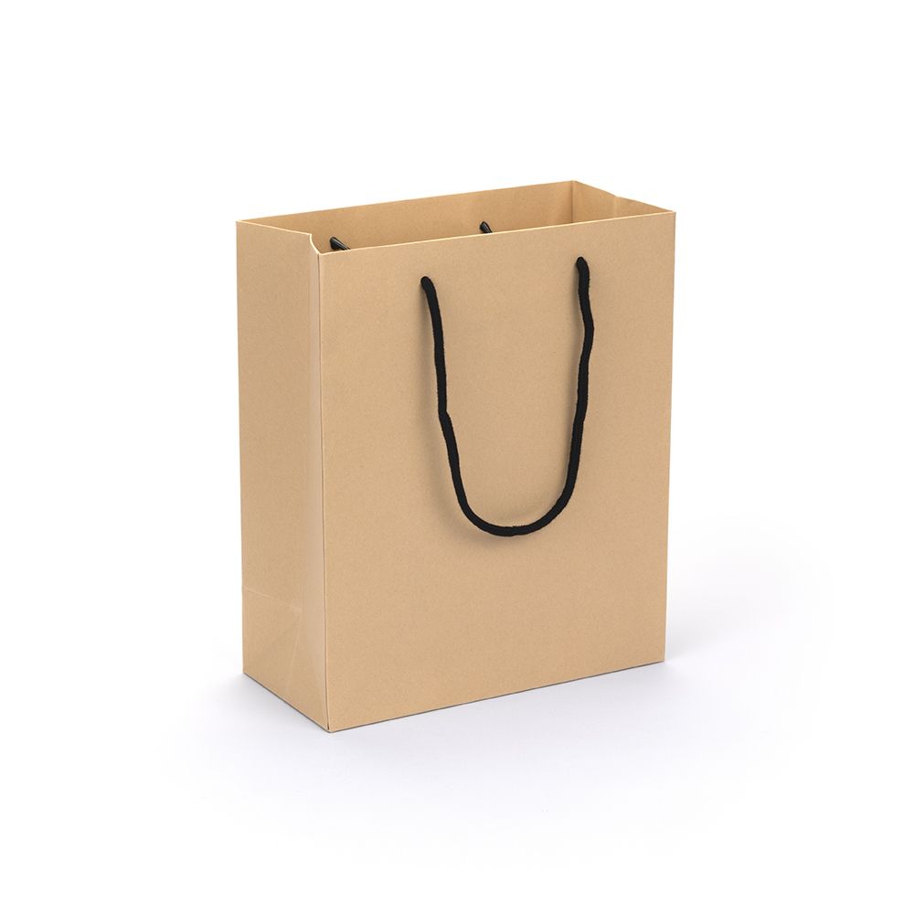 Large portrait kraft paper gift bag with rope handles