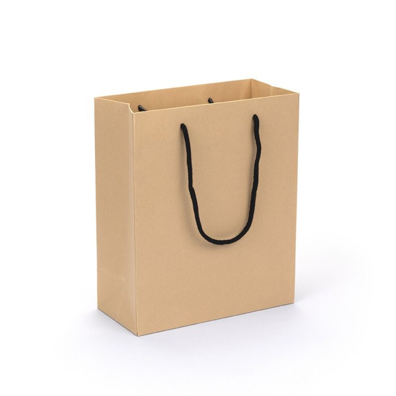 Large Portrait Kraft Brown Paper Gift Bag With Rope Handles
