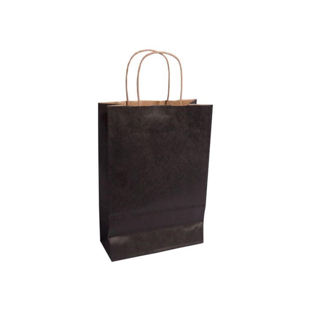 Essentials Medium Black Paper Gift Bag With Paper Twisted Handles