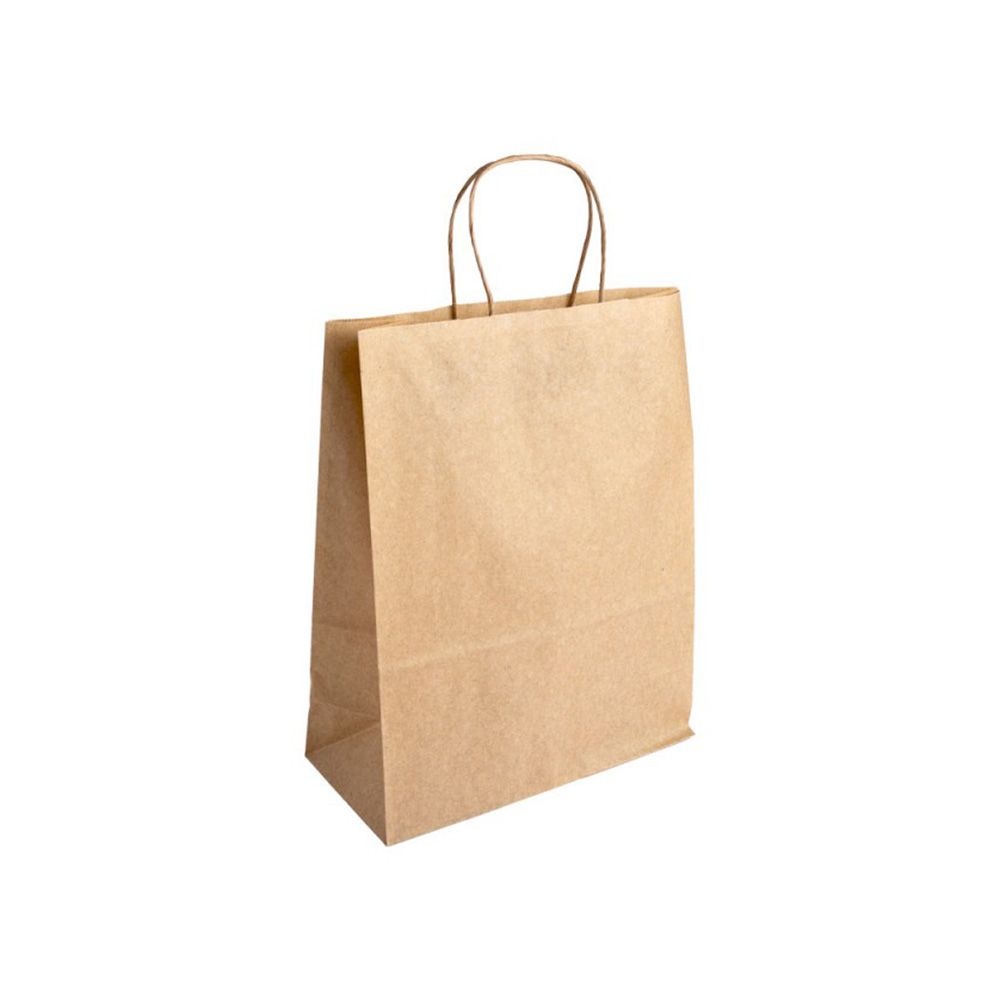 Essentials Medium Kraft Brown Paper Gift Bag with Paper Twisted Handles