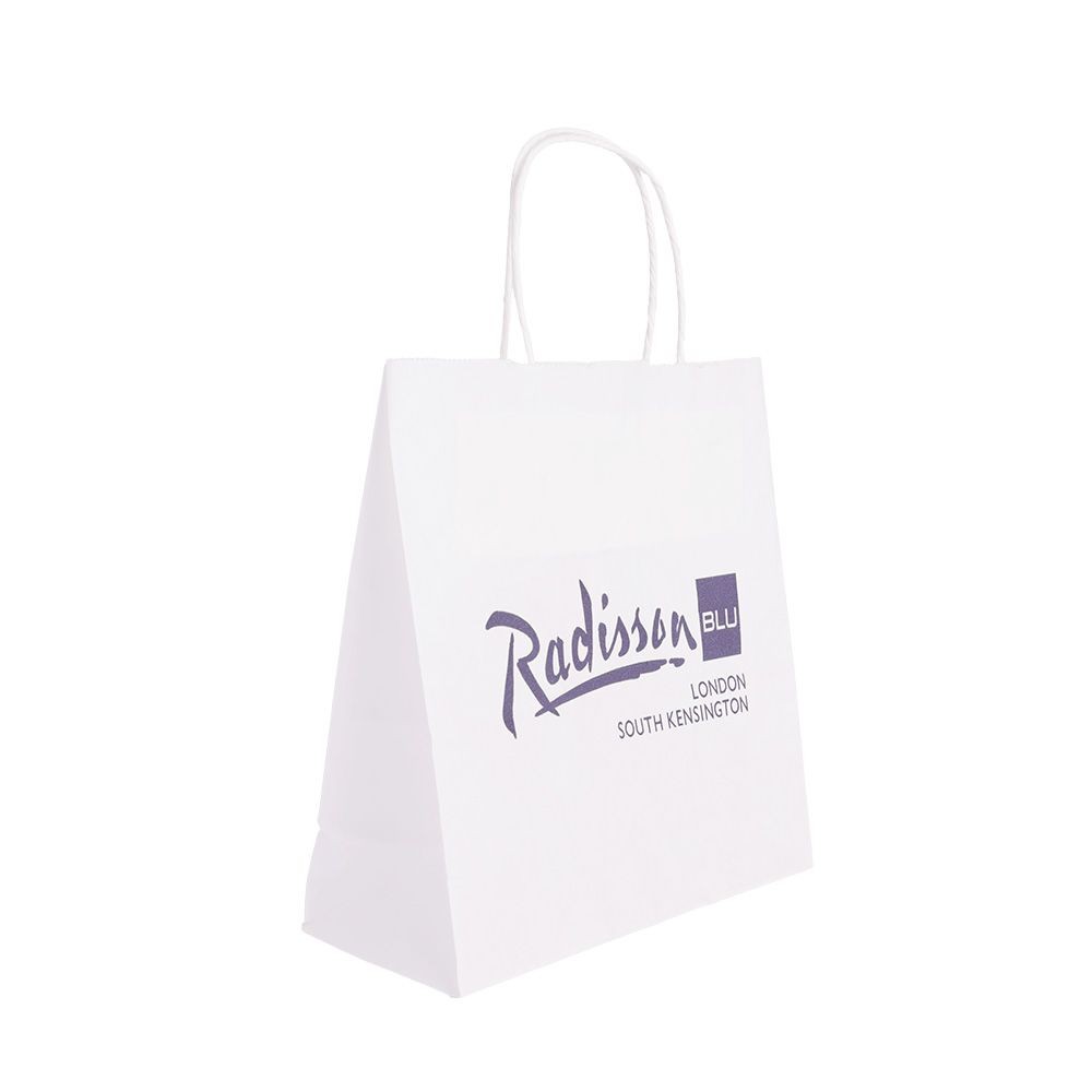 Essentials Small White Paper Gift Bag with Paper Twisted Handles