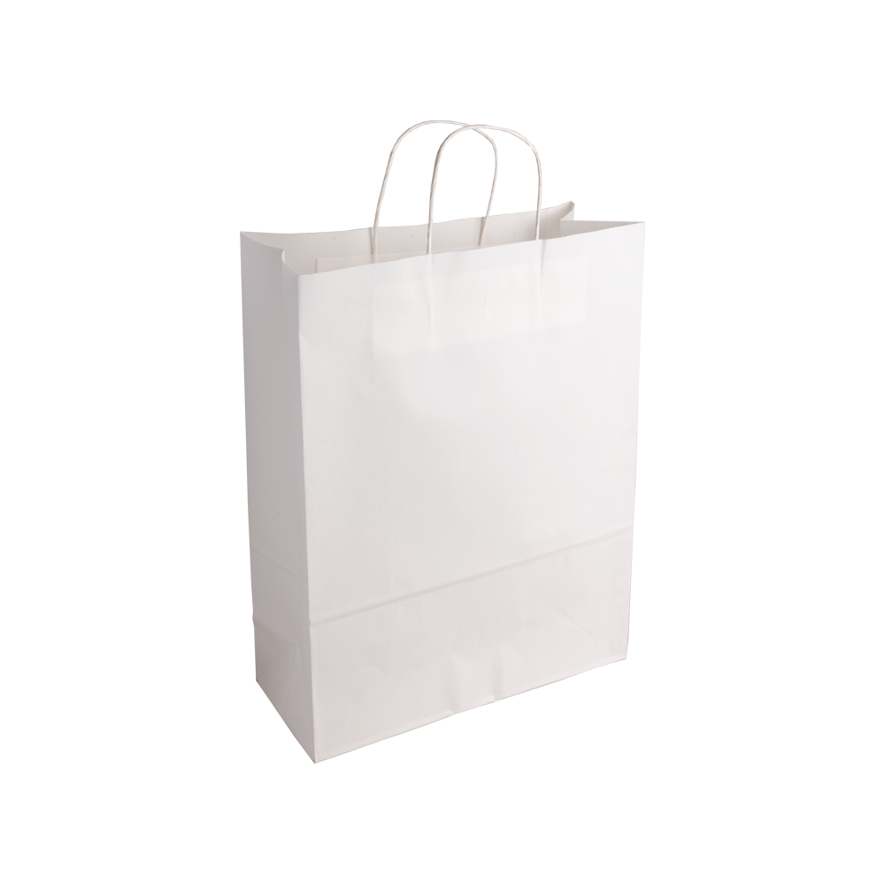 Essentials Medium White Paper Gift Bag With Paper Twisted Handles