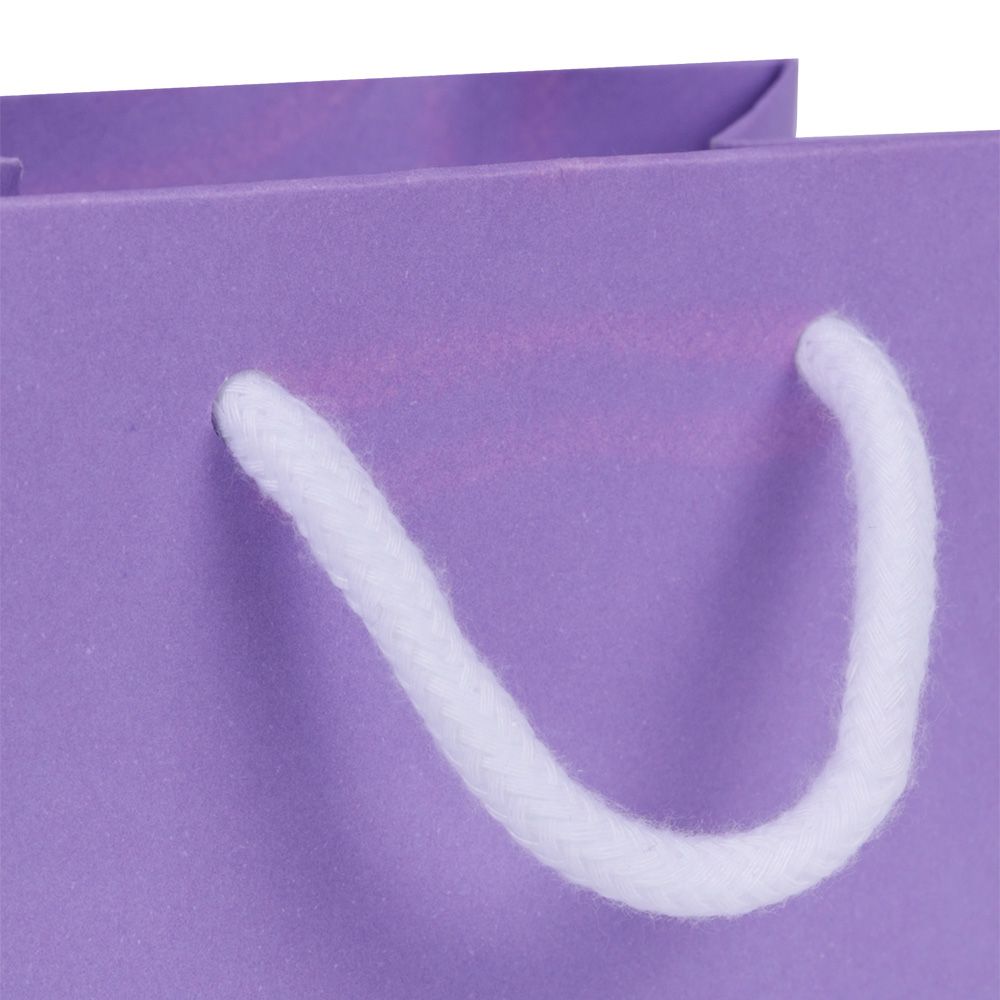 Second Extra Small Landscape Lilac Paper Gift Bag with Rope Handles