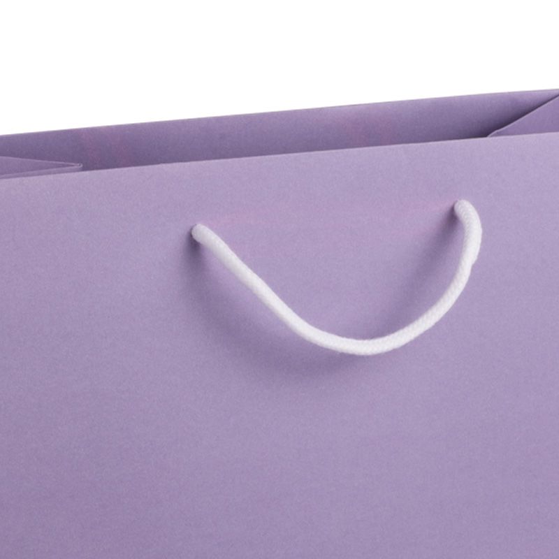 Seconds Medium Landscape Lilac Paper Gift Bag With Rope Handles