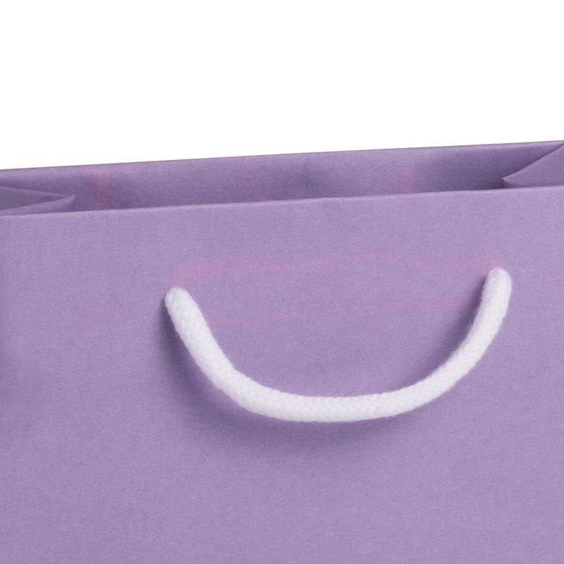 Seconds Small Landscape Lilac Paper Gift Bag With Rope Handles