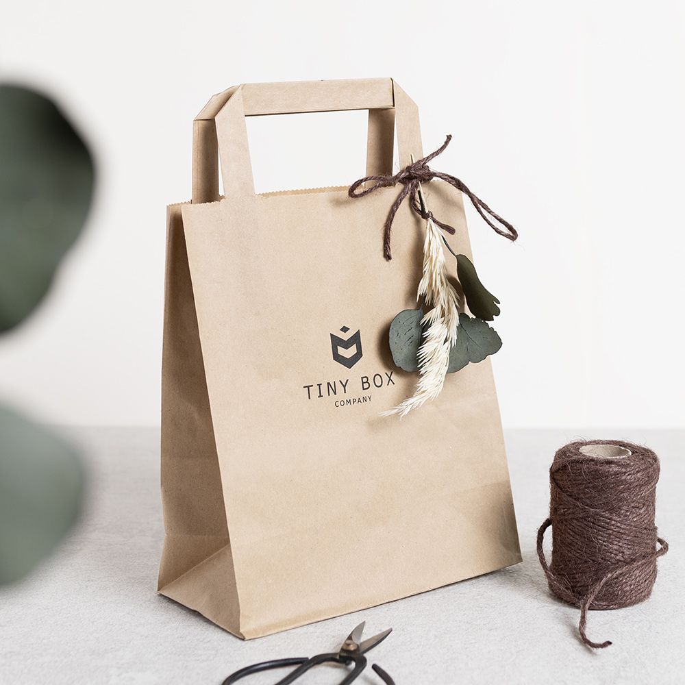 Small Kraft Brown Tape Handle Paper Carrier Bag 