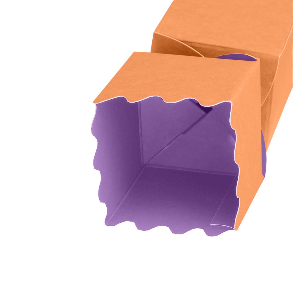 Apricot Crush Orange and Lilac Christmas Cracker Box