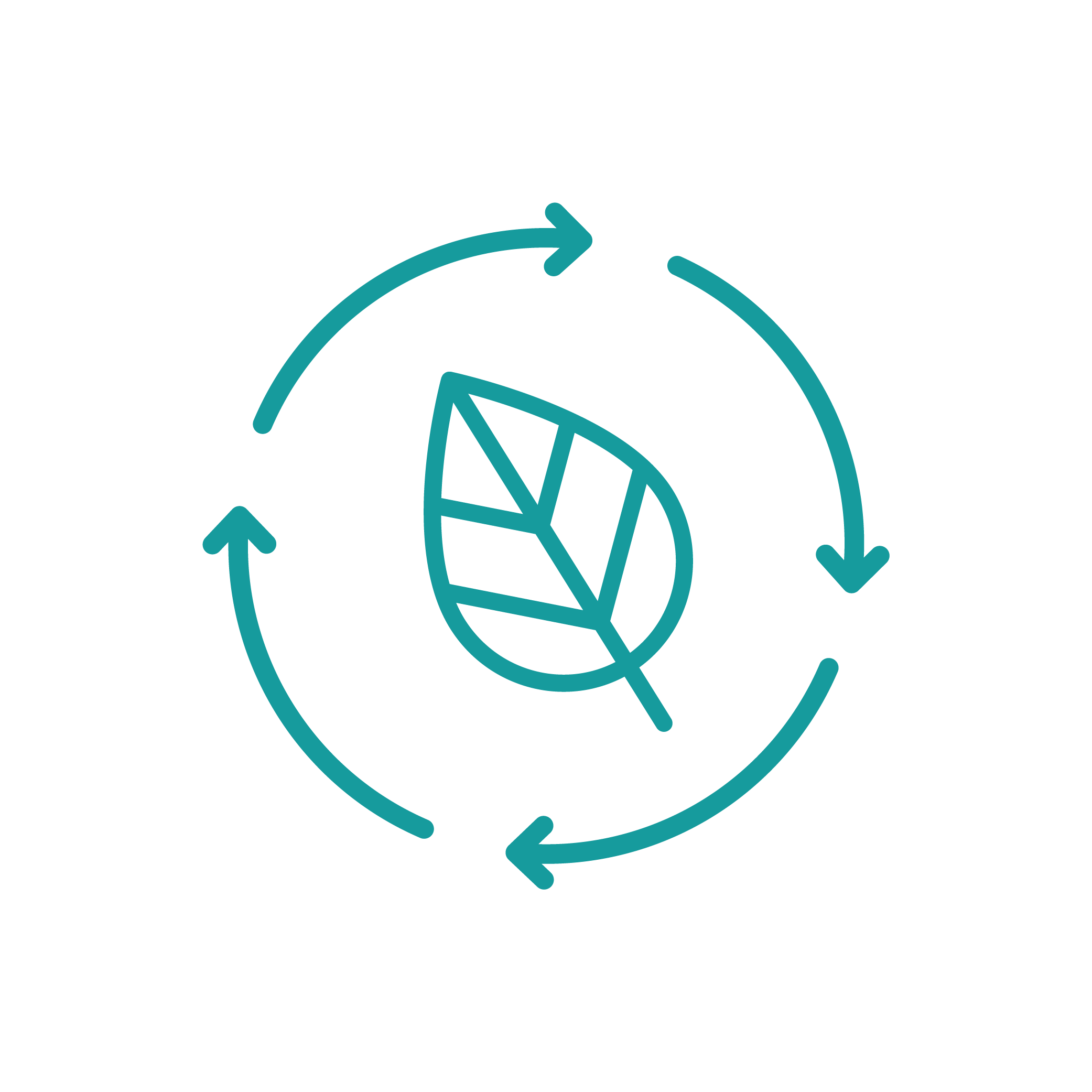 Eco-friendly packaging