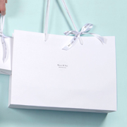 Large Gift Bags