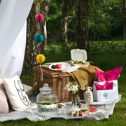 Picnic Sets