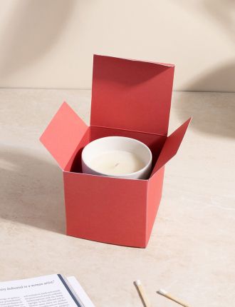 The Lionesses Collection