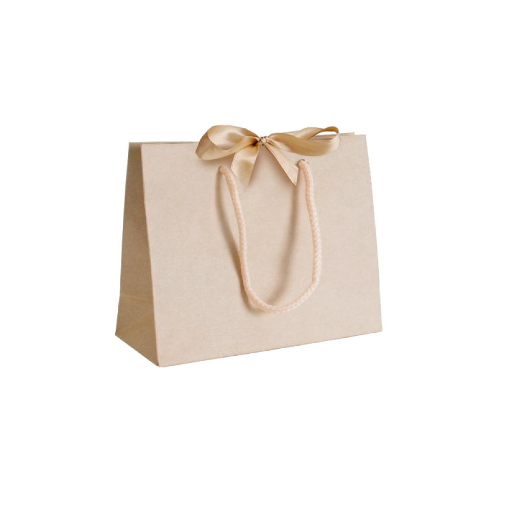 Wholesale Gift Bags with Ribbon, Custom Wedding Luxury Paper Gift Bags with  Logo - China Paper Bag and Luxury Bag price | Made-in-China.com