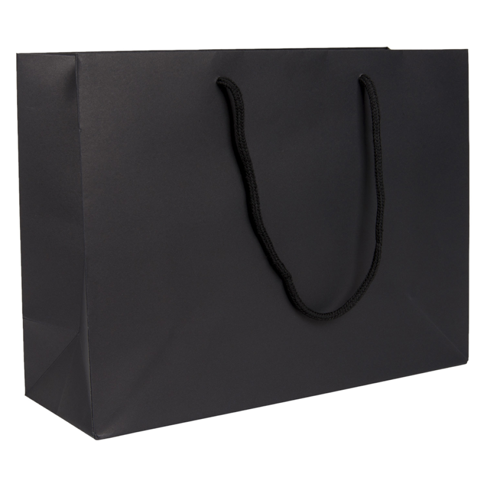 Large Landscape Black Paper Gift Bag With Rope Handles